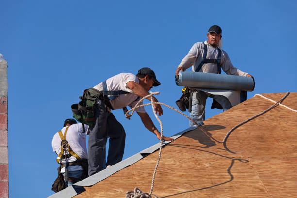 Best Roofing Contractor Near Me  in Newton, MA